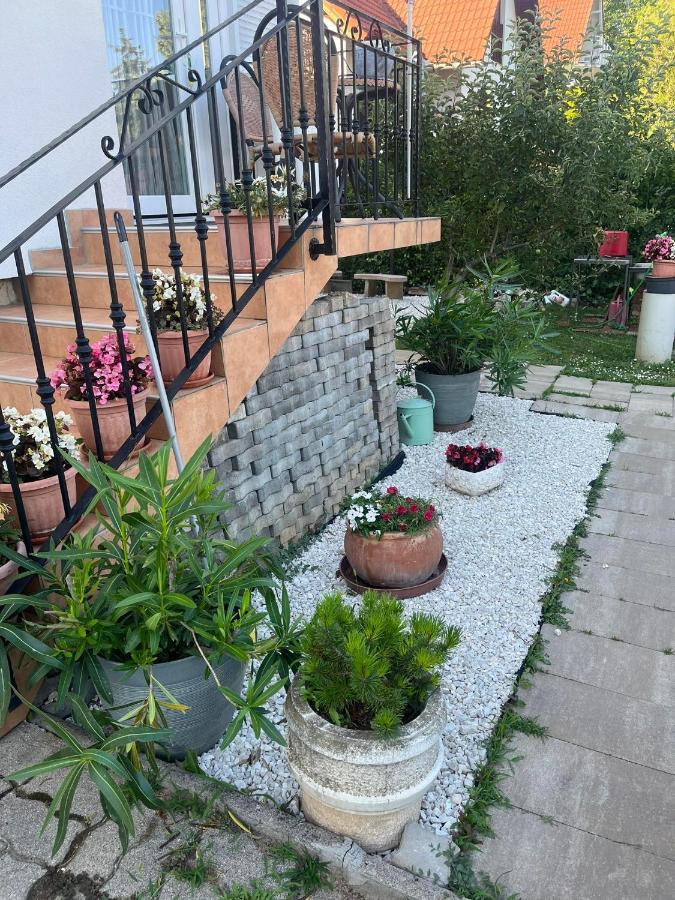 Rege Apartman Alsoors Exterior photo